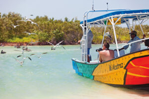 foto manglares holbox