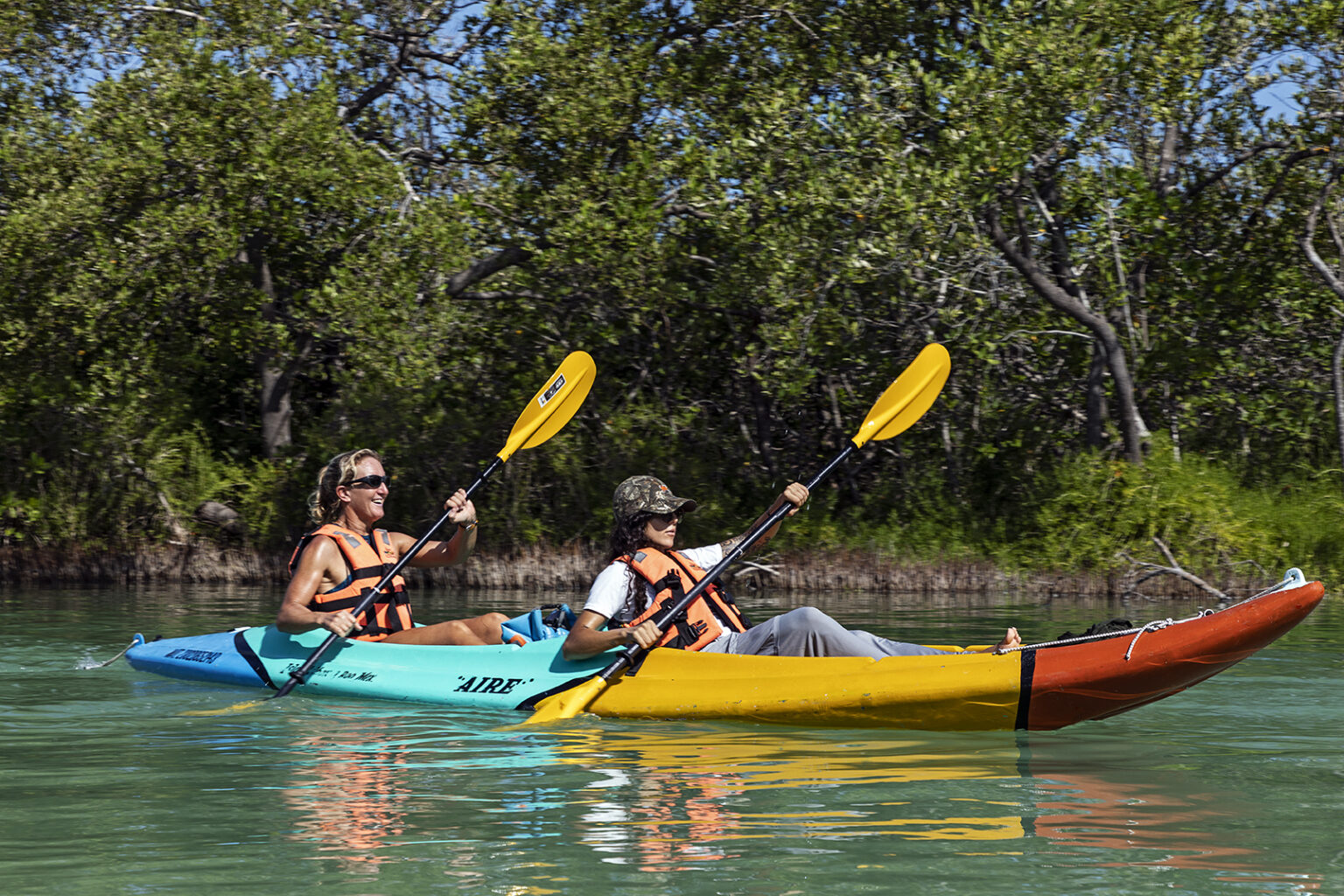 Kayaking through the mangroves VIP Holbox Experience